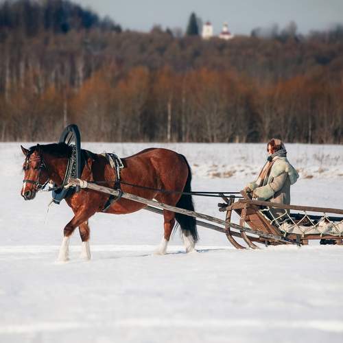 Фотография #13420604