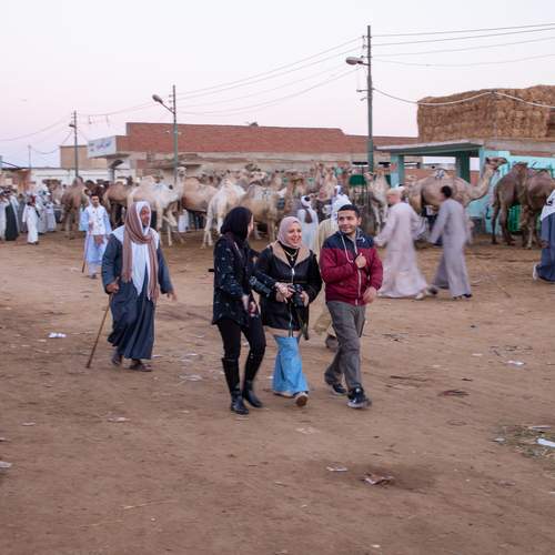 Photo #13420624