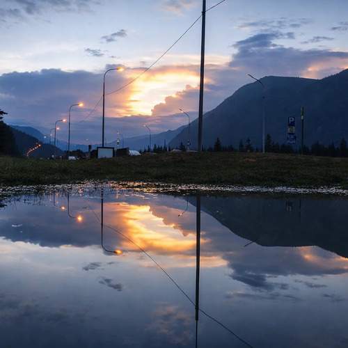 Photo #13420633