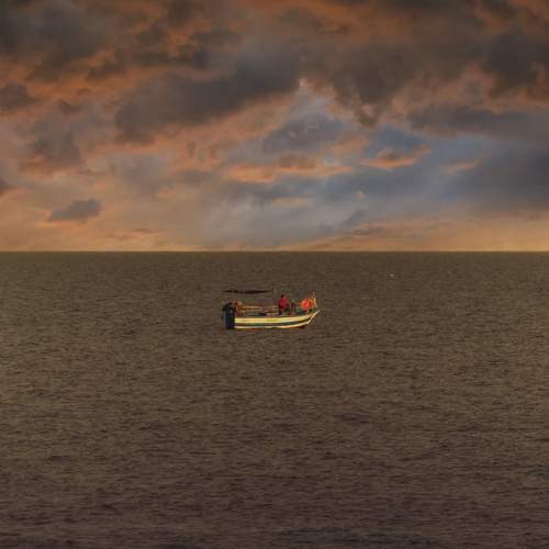 Photo #13420674