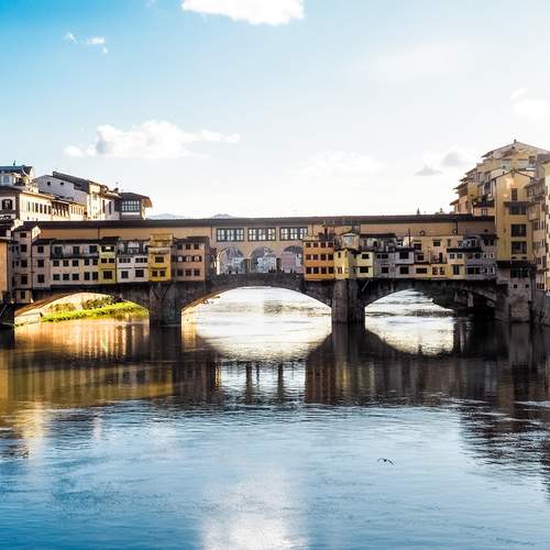 Photo #13420719