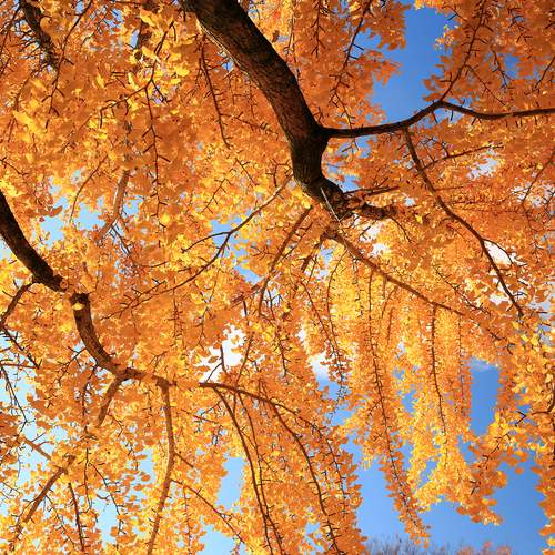 Photo #13420757