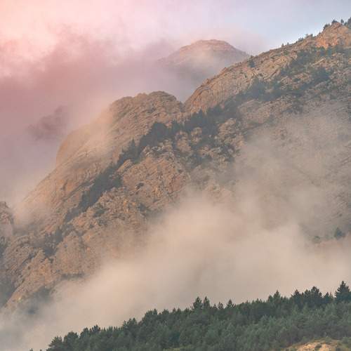 Photo #13420759