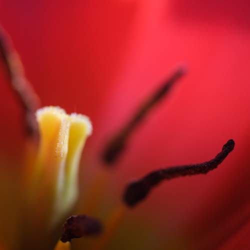 Фотография #13420815