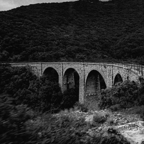Photo #13420829