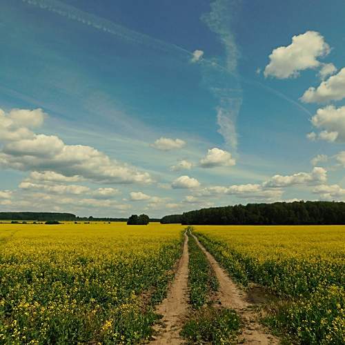 Photo #13420843