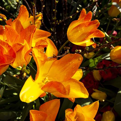 Photo #13420870