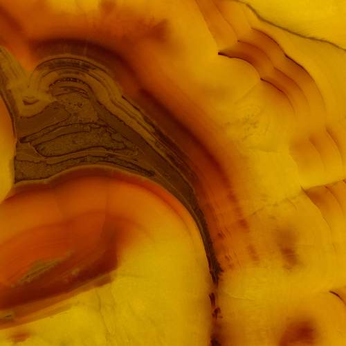 Photo #13421028