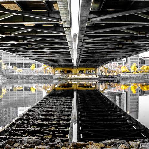 Photo #13421031