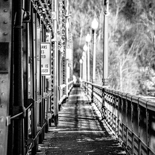 Photo #13421032
