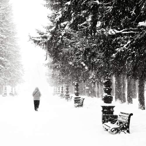 Photo #13421067