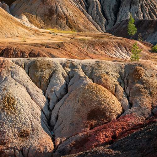 Марсианские хроники