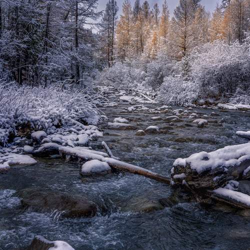 Photo #13421286