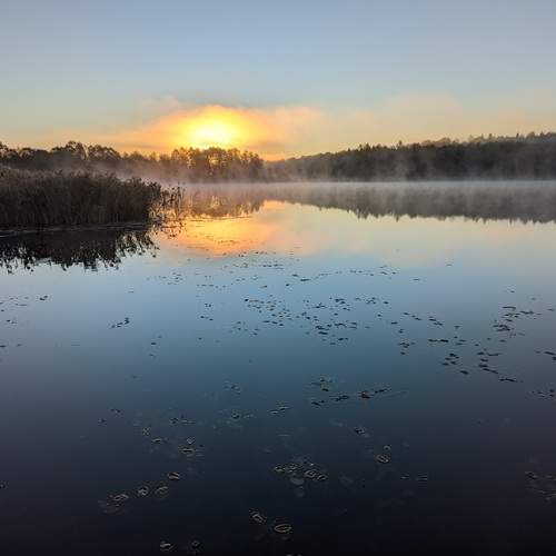 Photo #13421310