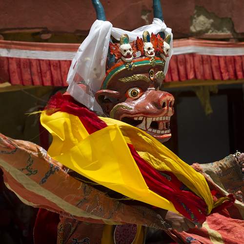 Photo #13421508