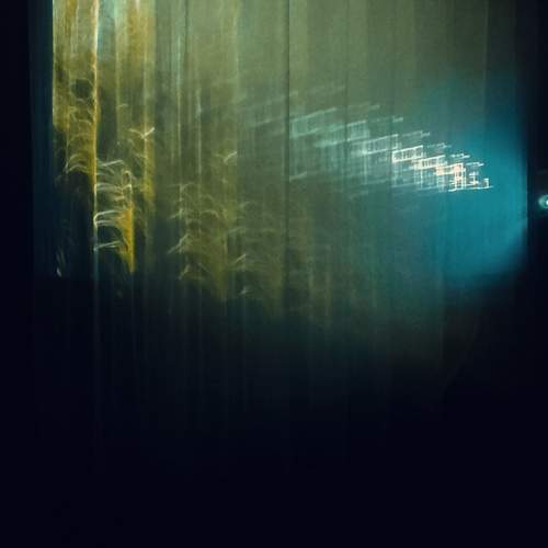 Photo #13421567