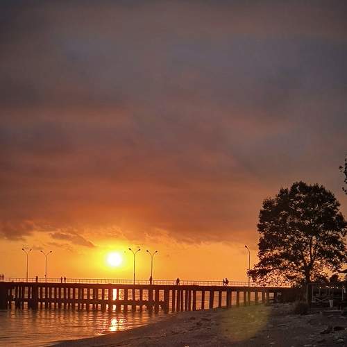 Photo #13421593