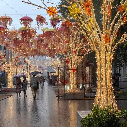 Летний дождь