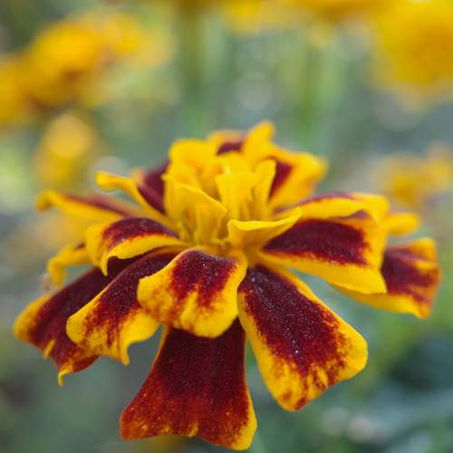 Photo #13421751