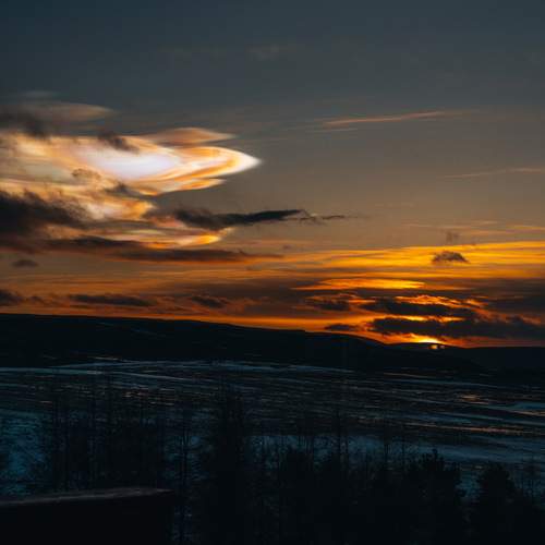 Photo #13421766