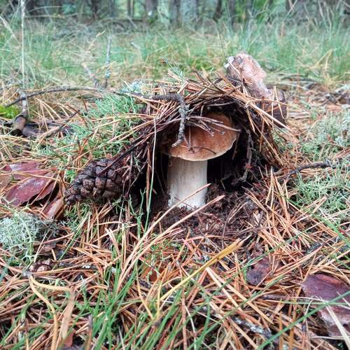 Photo #13421821