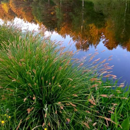 Photo #13421822