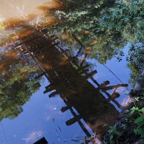 Photo #13421866