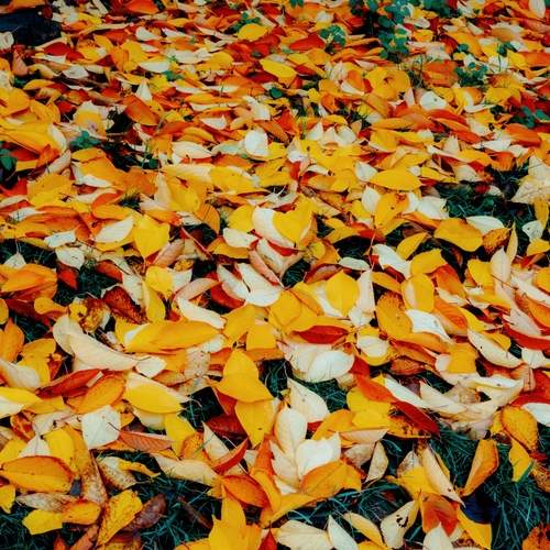 Photo #13421877
