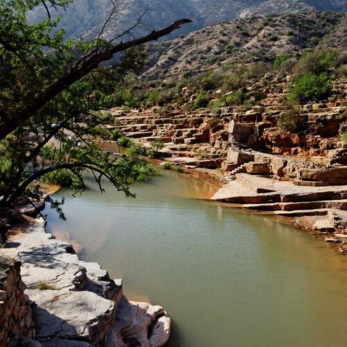 Фотография #13422083