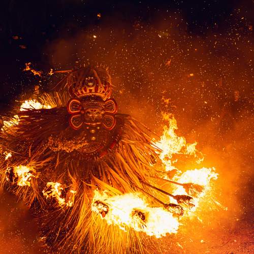 Photo #13422087