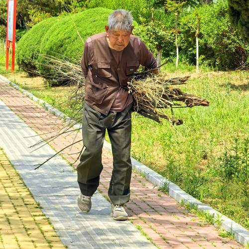 Фотография #13422153