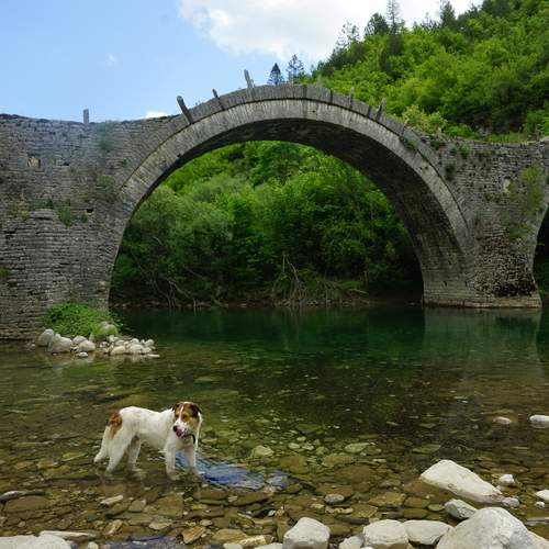 Фотография #13422162