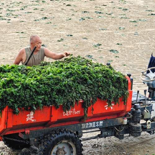 Фотография #13422170