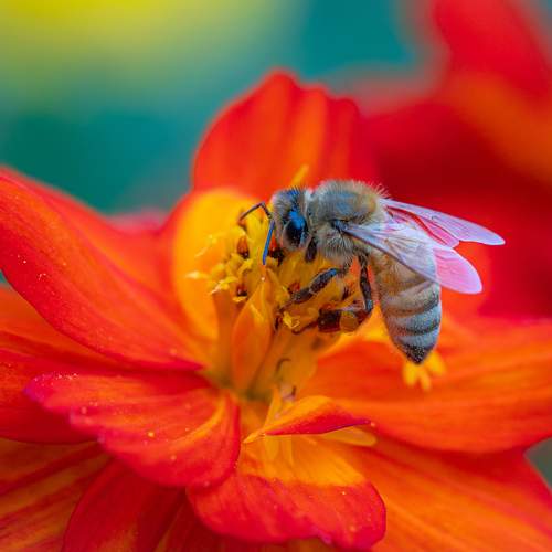Photo #13422199