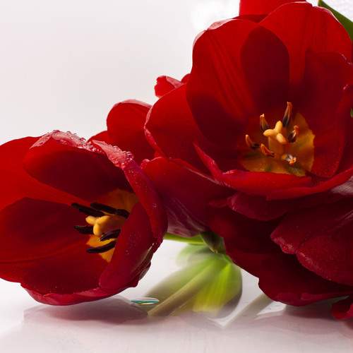 Спонтанный букет...