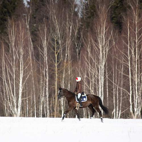 Фотография #13422488