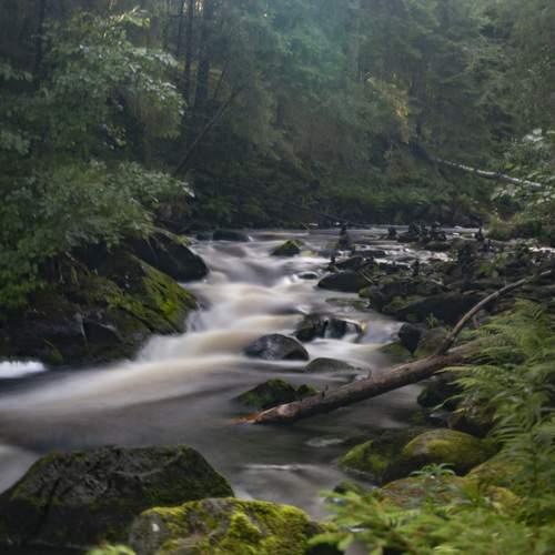 Photo #13422529