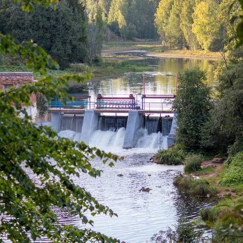 Photo #13422540