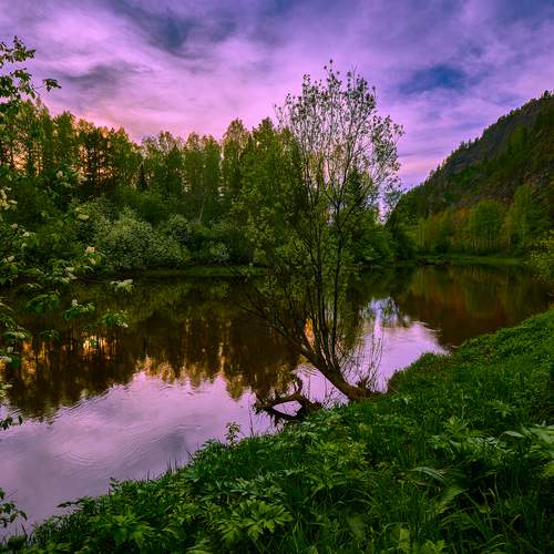 Вечер в черёмуховом краю.