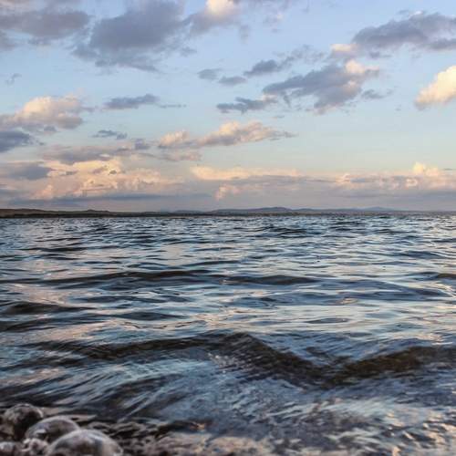 Photo #13422630