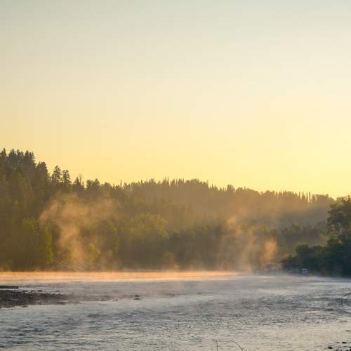 Photo #13422760