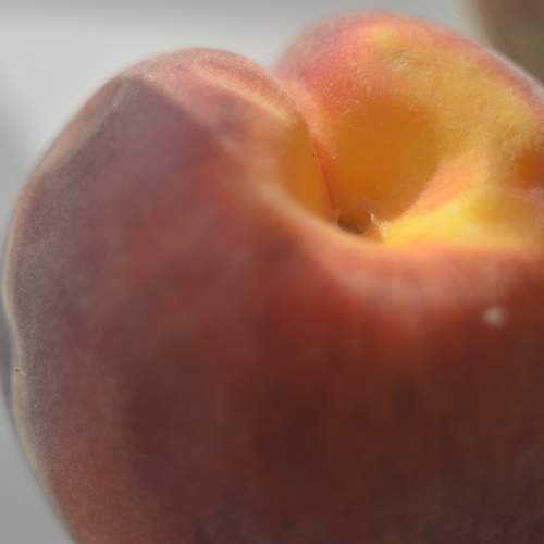 Фотография #13423007