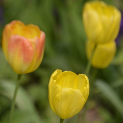 Фотография #13423019