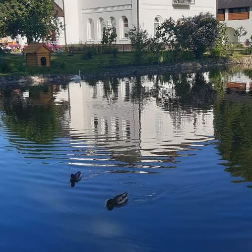 Photo #13423025
