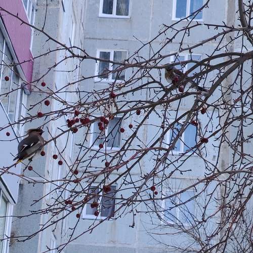 Photo #13423101