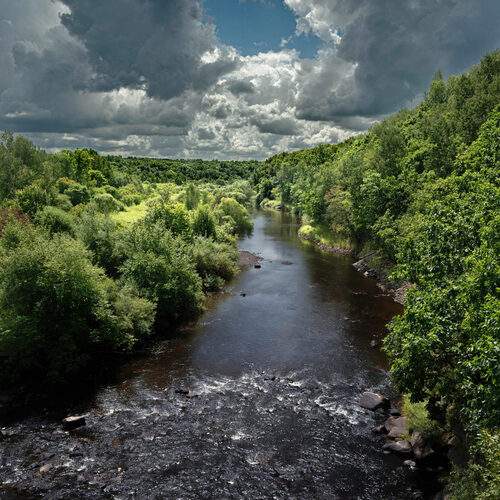 Photo #13423149