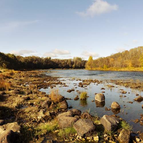 Photo #13423178