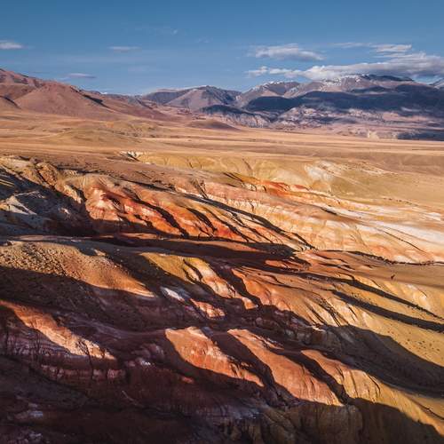 Photo #13423237