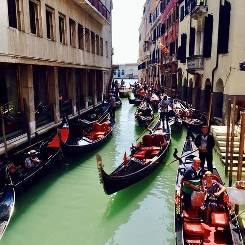 Photo #13423248
