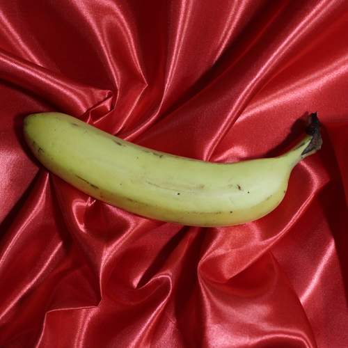 Photo #13423252